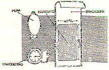 figura3