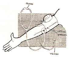 figura7