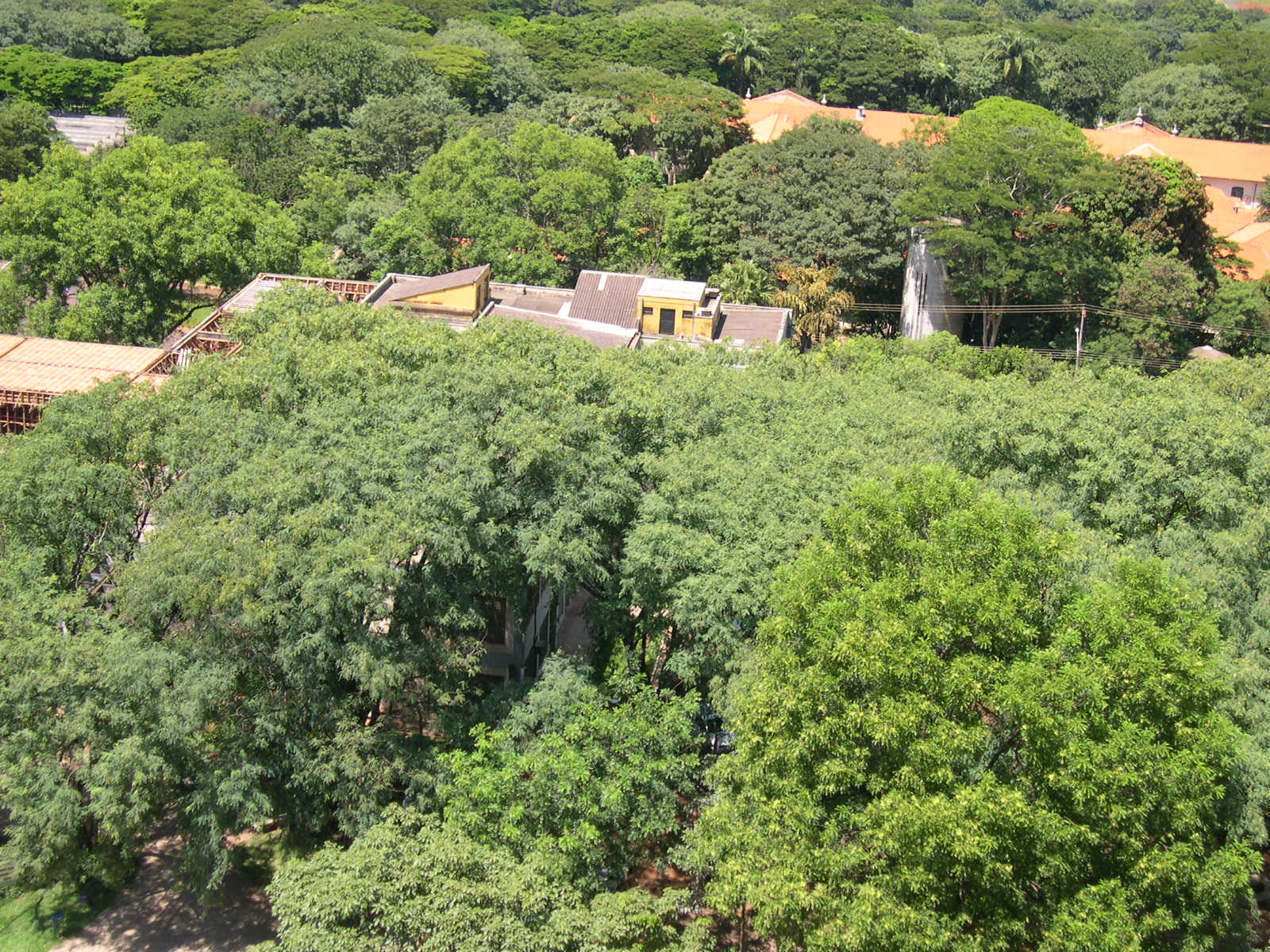 Campus USP RP 2006